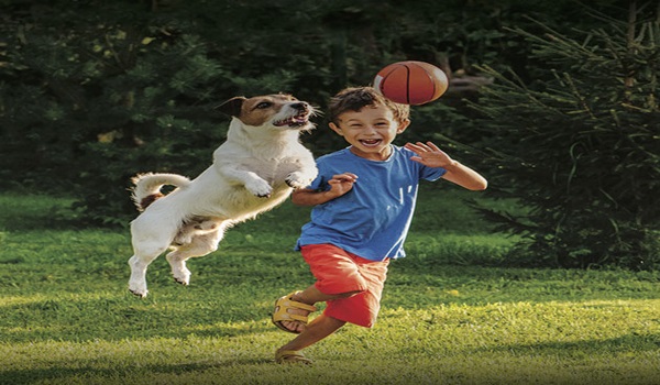Birla Ojasvi Kids Play Area
