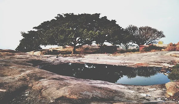 Turahalli view point facing Birla Ojasvi Forest